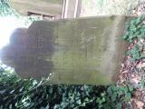 image of grave number 654481